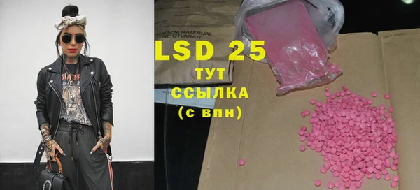 ПСИЛОЦИБИНОВЫЕ ГРИБЫ Абаза