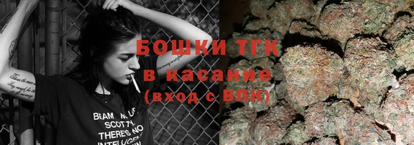 ПСИЛОЦИБИНОВЫЕ ГРИБЫ Абаза