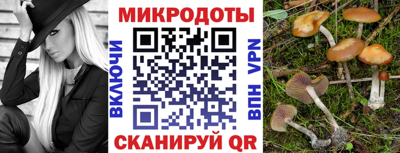 Галлюциногенные грибы MAGIC MUSHROOMS  купить  сайты  Циолковский 